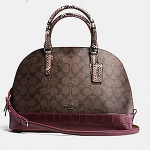 Coach Bag Brand New